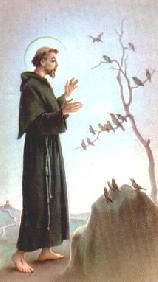 St Francis of Assissi